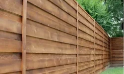 8ft-cedar-1