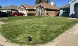 Full Landscape Installation