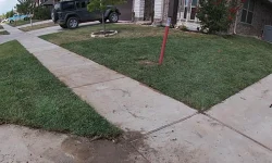 Sod Installation