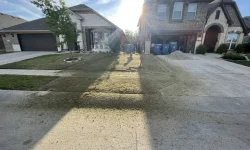 Sod Installation