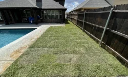Sod Installation