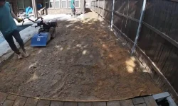 Sod Installation