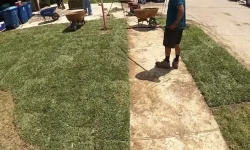 Sod Installation