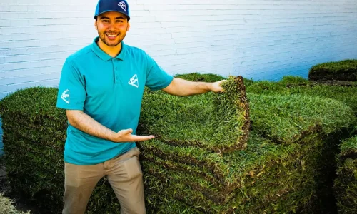Professional sod installation in Dallas-Fort Worth. Fresh St. Augustine sod being delivered and installed for a new lawn.